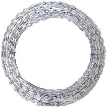 China Galvanized Concertina Razor Barbed Wire Mesh (RBWW)